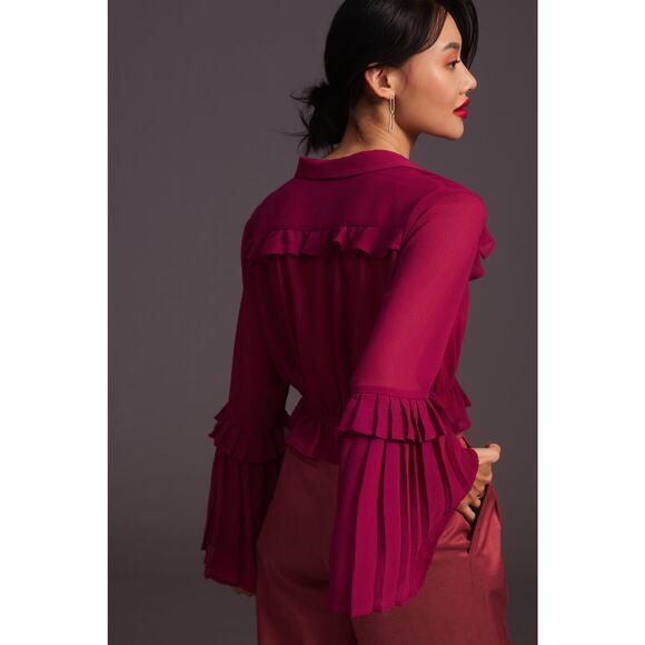 NWT Anthropologie Sheer Blouse - Small - Picture 4 of 6